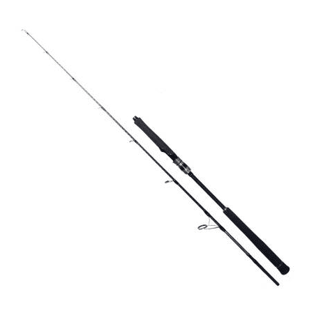 Ryuji Seawolf 1.80M 300-600GR 2P Jig Kamış